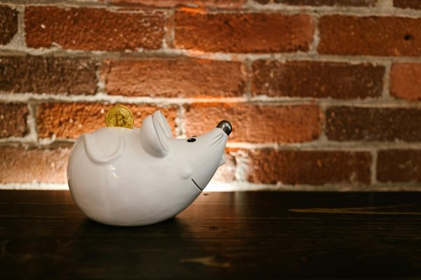 Wie wählt man die richtige Immobilie für Investitionen aus?